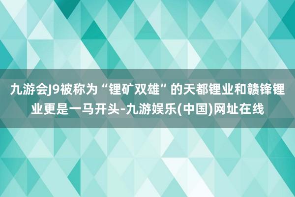 九游会J9被称为“锂矿双雄”的天都锂业和赣锋锂业更是一马开头-九游娱乐(中国)网址在线