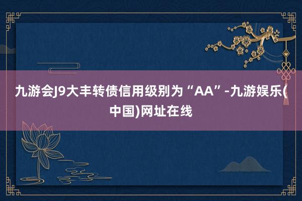 九游会J9大丰转债信用级别为“AA”-九游娱乐(中国)网址在线