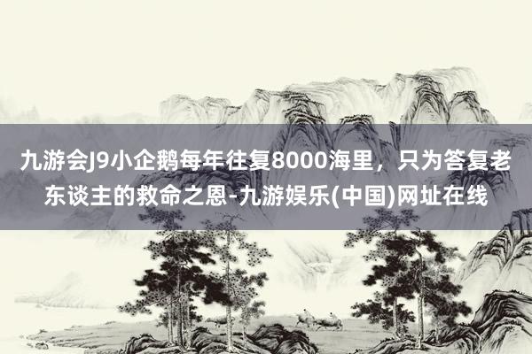 九游会J9小企鹅每年往复8000海里，只为答复老东谈主的救命之恩-九游娱乐(中国)网址在线